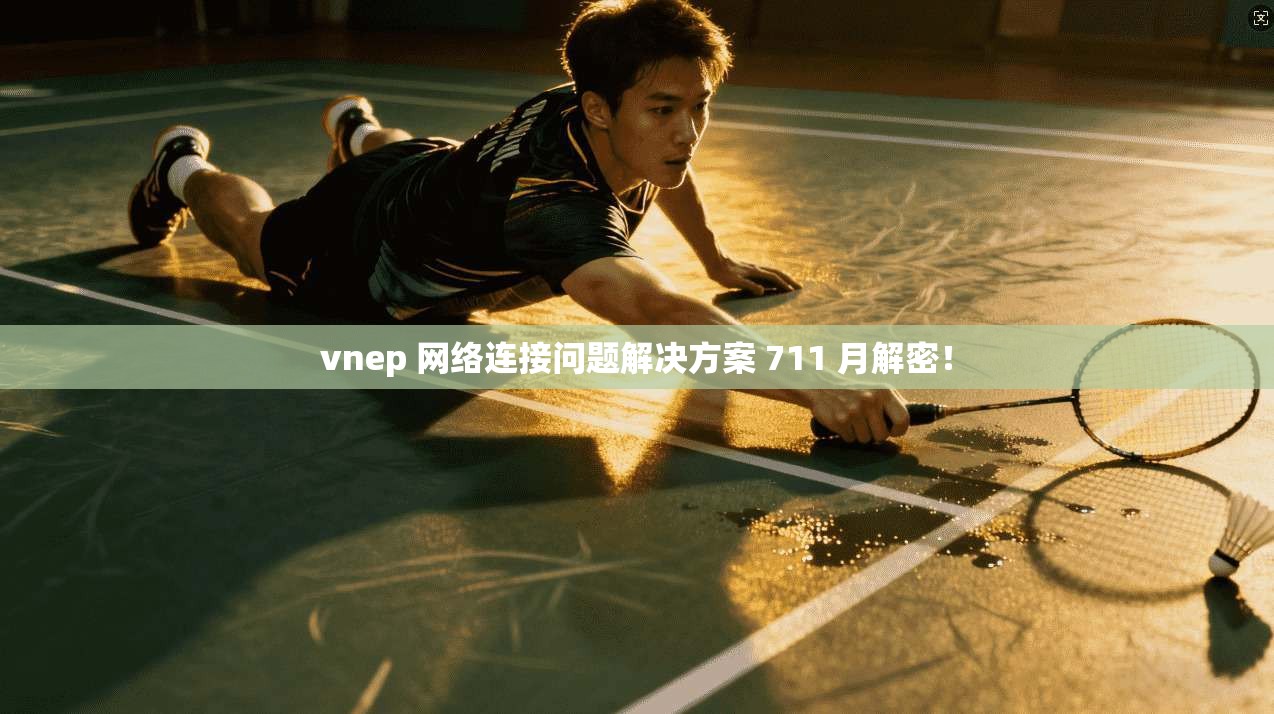 vnep 网络连接问题解决方案 711 月解密！  第1张