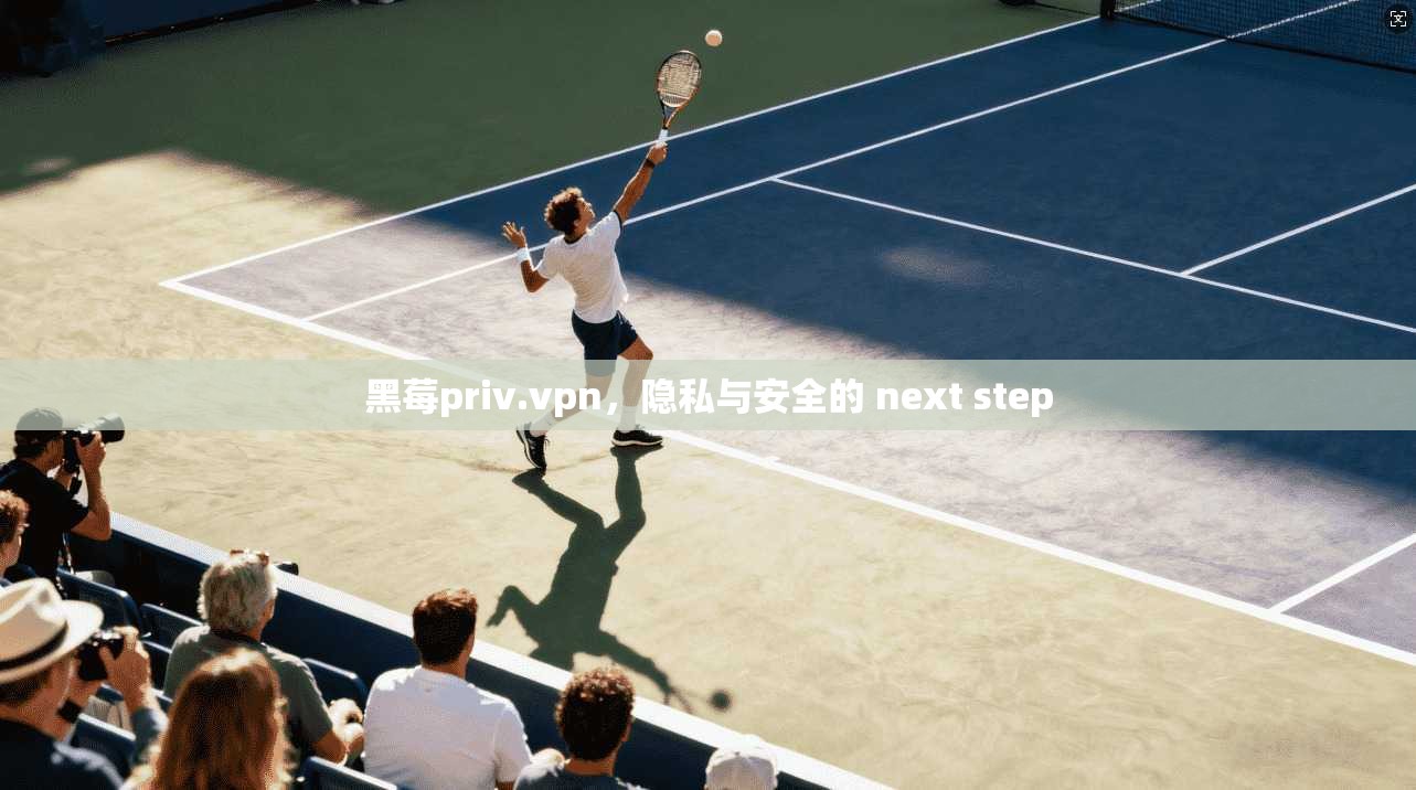 黑莓priv.vpn，隐私与安全的 next step  第1张