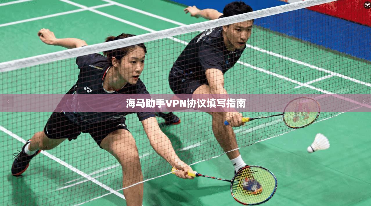 海马助手VPN协议填写指南  第1张