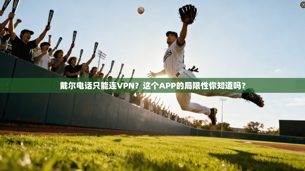 戴尔电话只能连VPN？这个APP的局限性你知道吗？  第1张