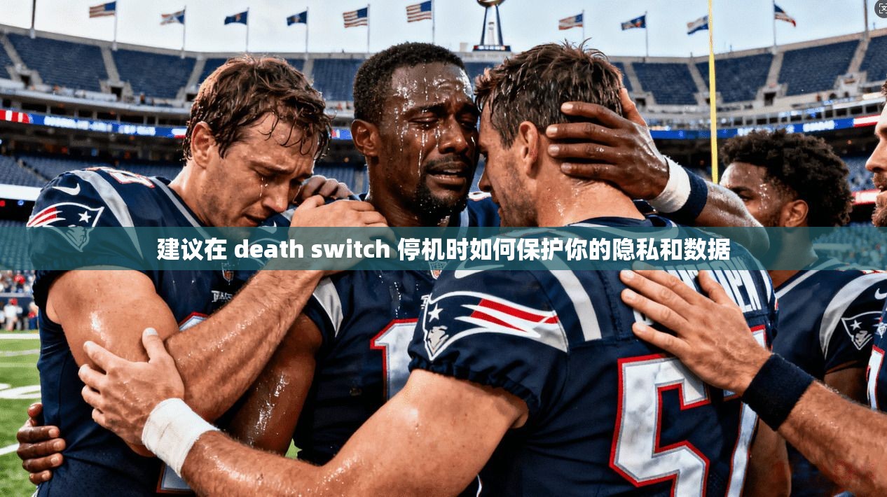 建议在 death switch 停机时如何保护你的隐私和数据
