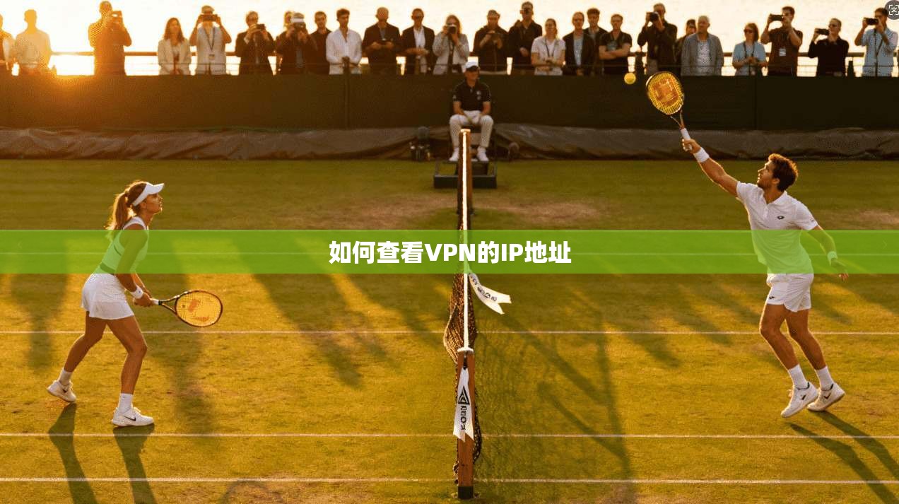 如何查看VPN的IP地址