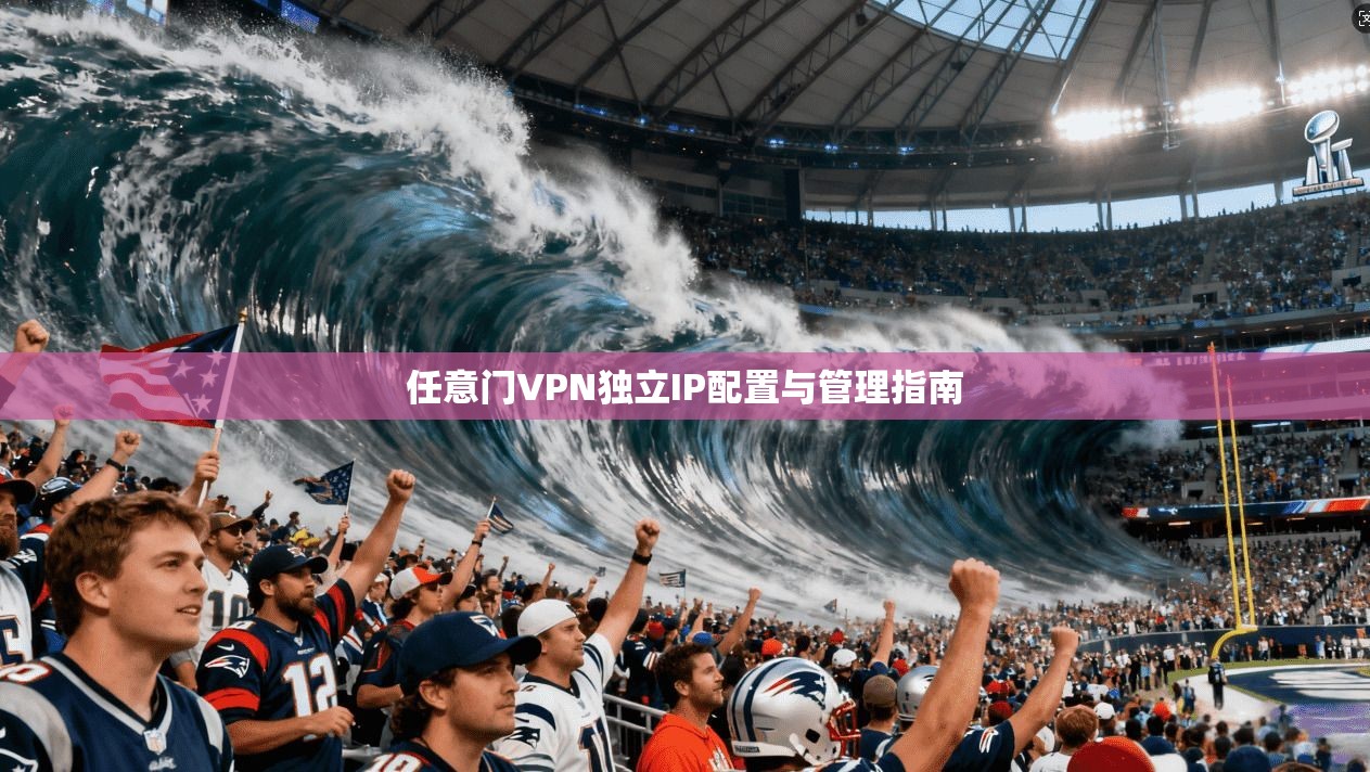 任意门VPN独立IP配置与管理指南
