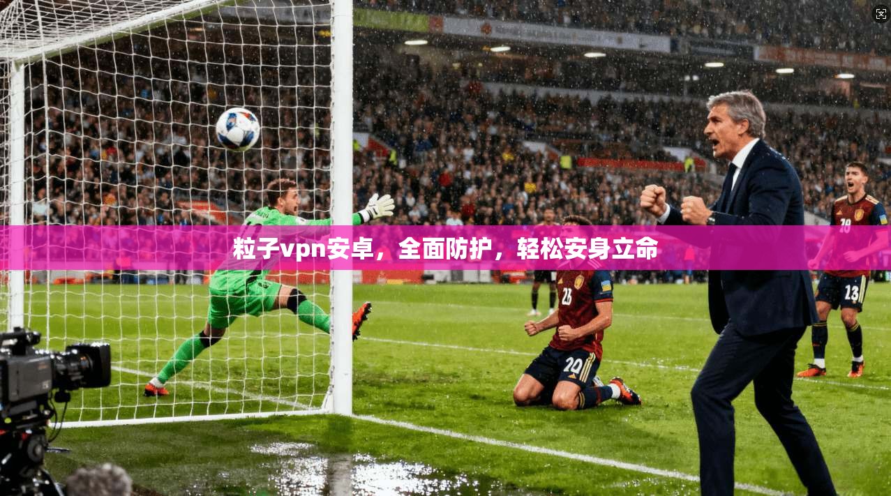 粒子vpn安卓，全面防护，轻松安身立命