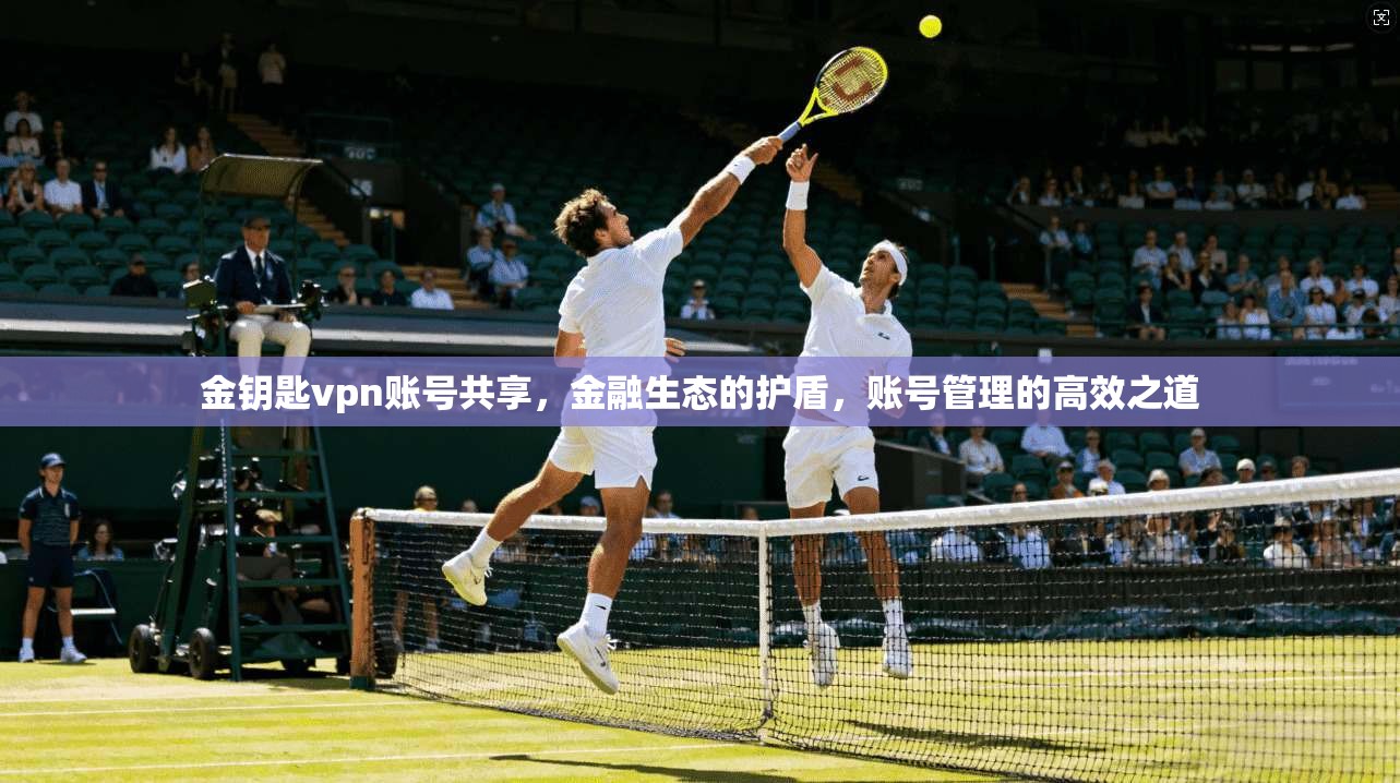 金钥匙vpn账号共享，金融生态的护盾，账号管理的高效之道