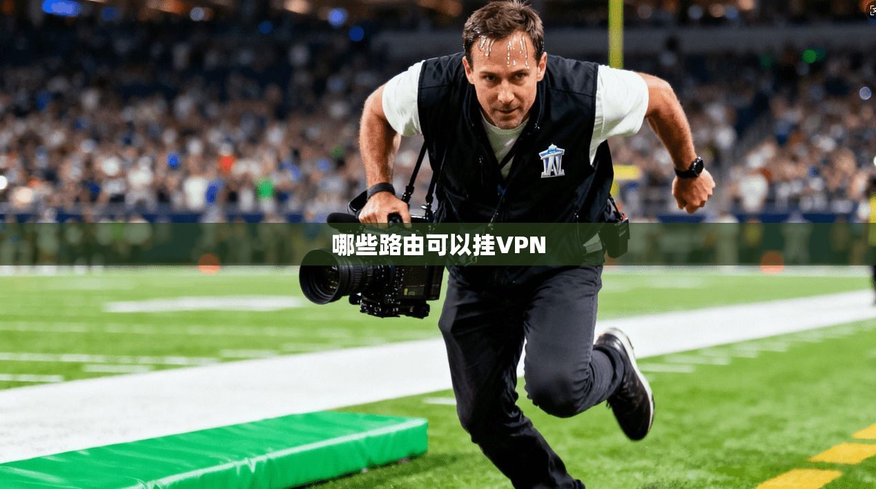 哪些路由可以挂VPN