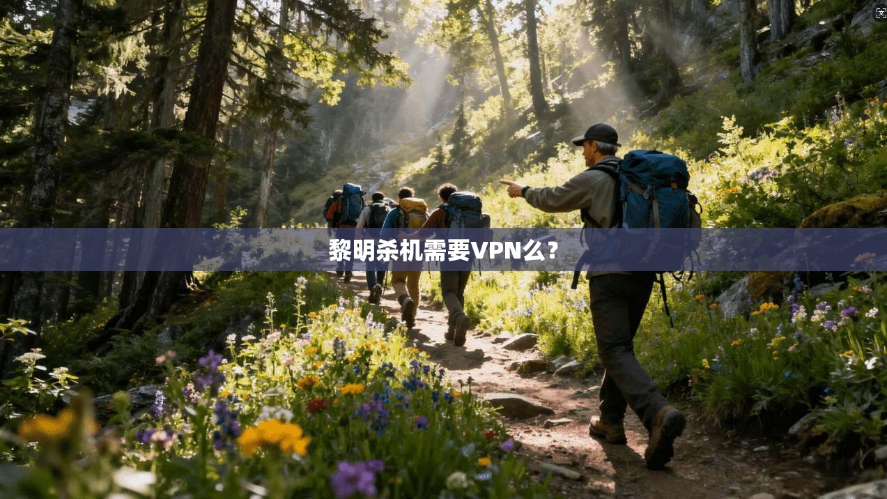 黎明杀机需要VPN么？