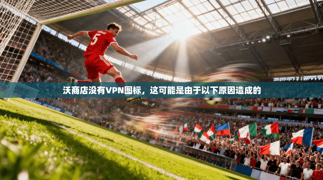 沃商店没有VPN图标，这可能是由于以下原因造成的