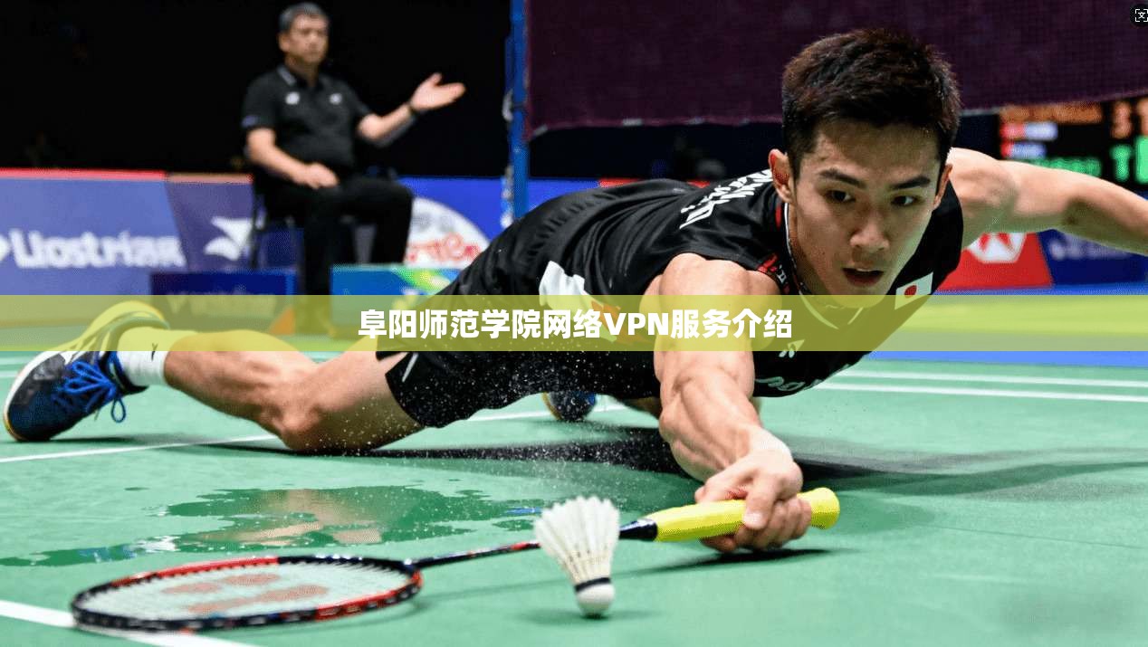 阜阳师范学院网络VPN服务介绍