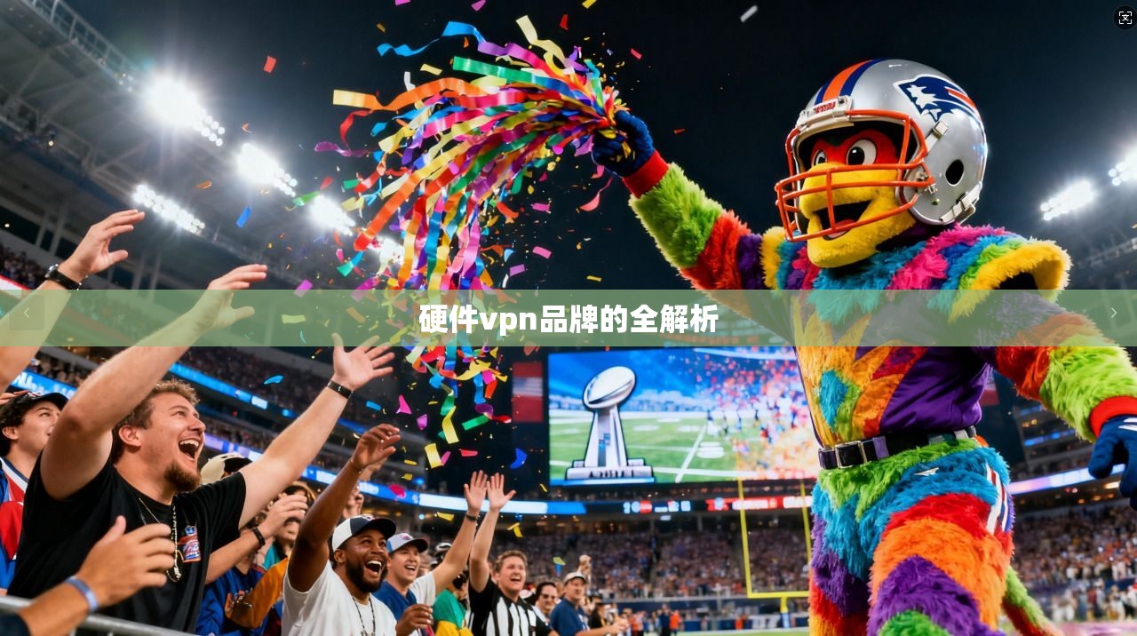 硬件vpn品牌的全解析