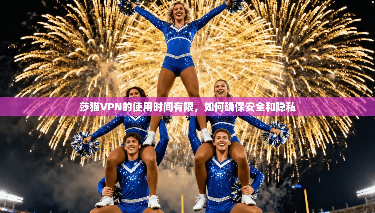 莎猫VPN的使用时间有限，如何确保安全和隐私