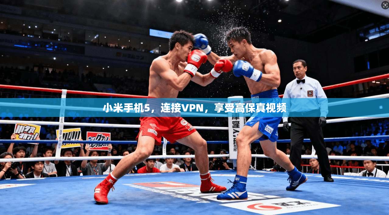 小米手机5，连接VPN，享受高保真视频