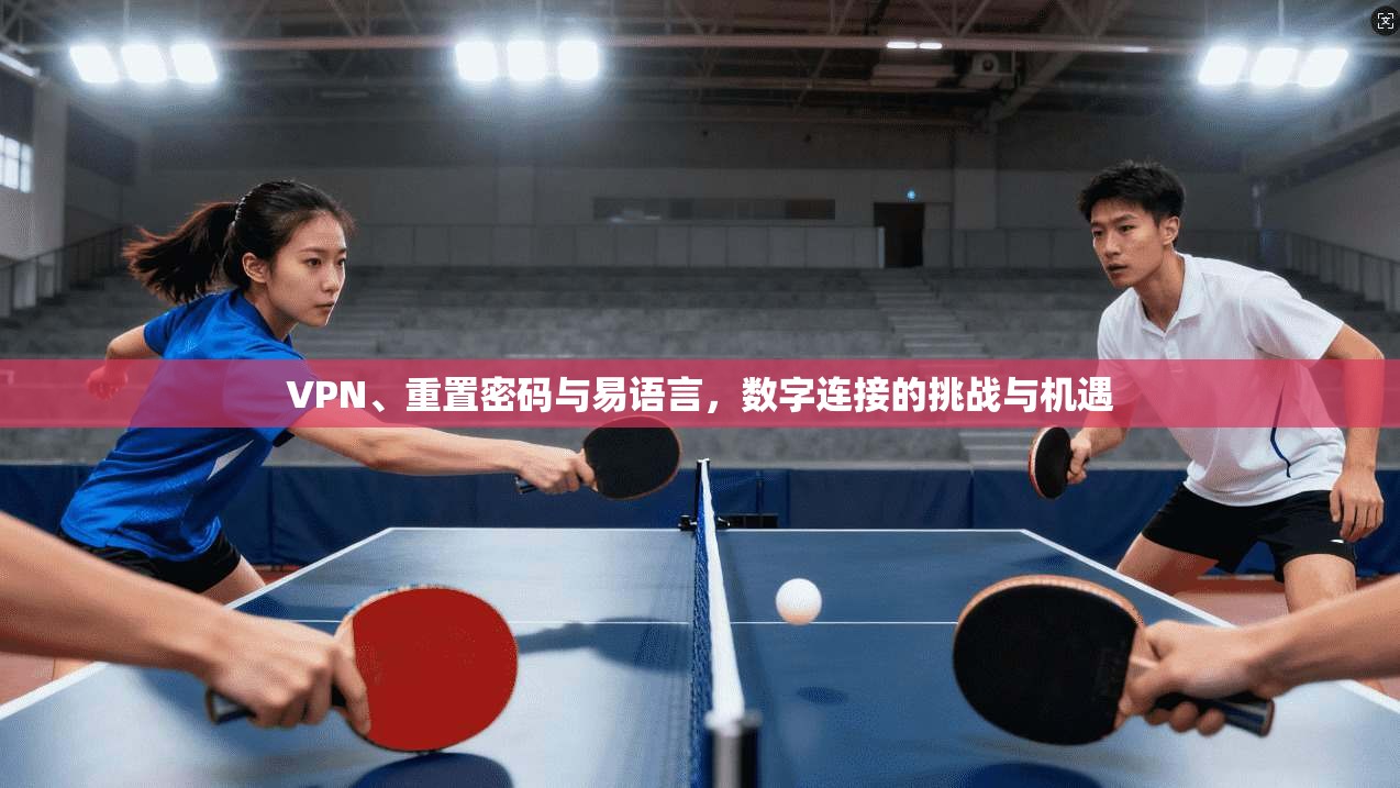 VPN、重置密码与易语言，数字连接的挑战与机遇