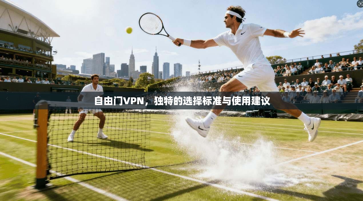 自由门VPN，独特的选择标准与使用建议