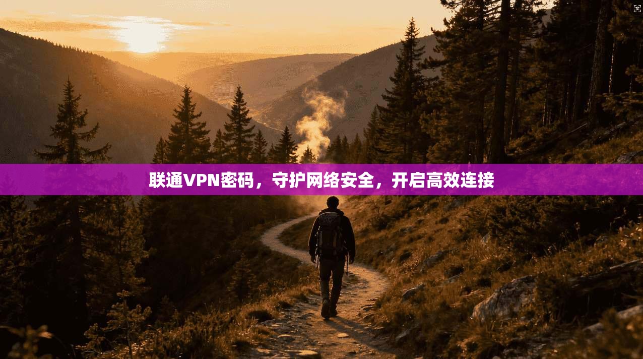 联通VPN密码，守护网络安全，开启高效连接