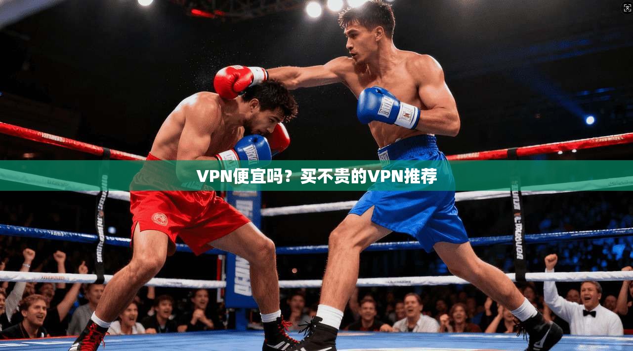 VPN便宜吗？买不贵的VPN推荐