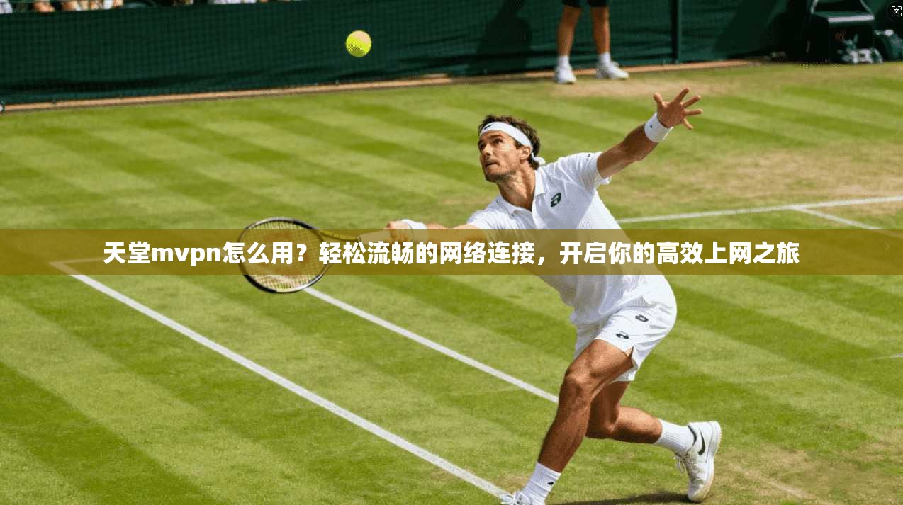 天堂mvpn怎么用？轻松流畅的网络连接，开启你的高效上网之旅