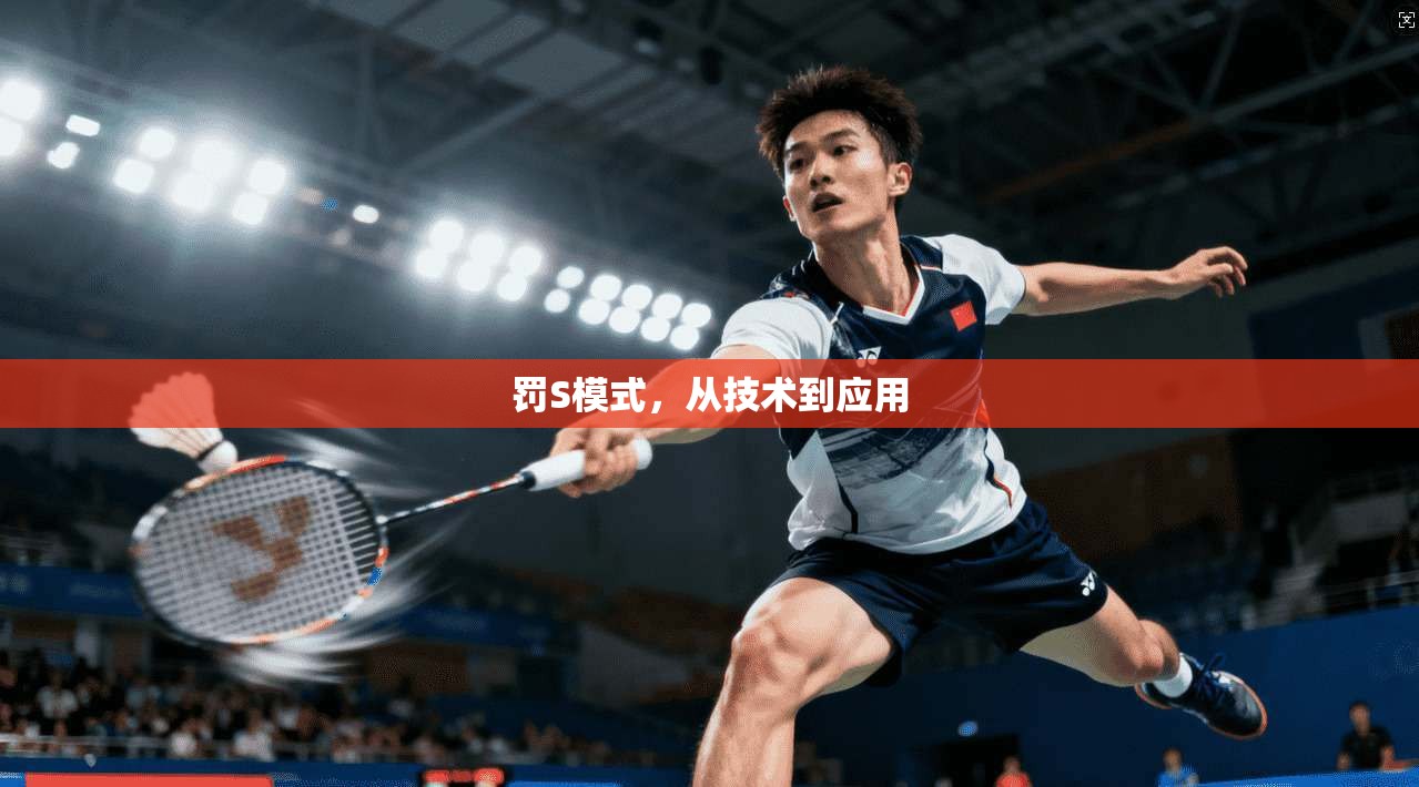 罚S模式,从技术到应用