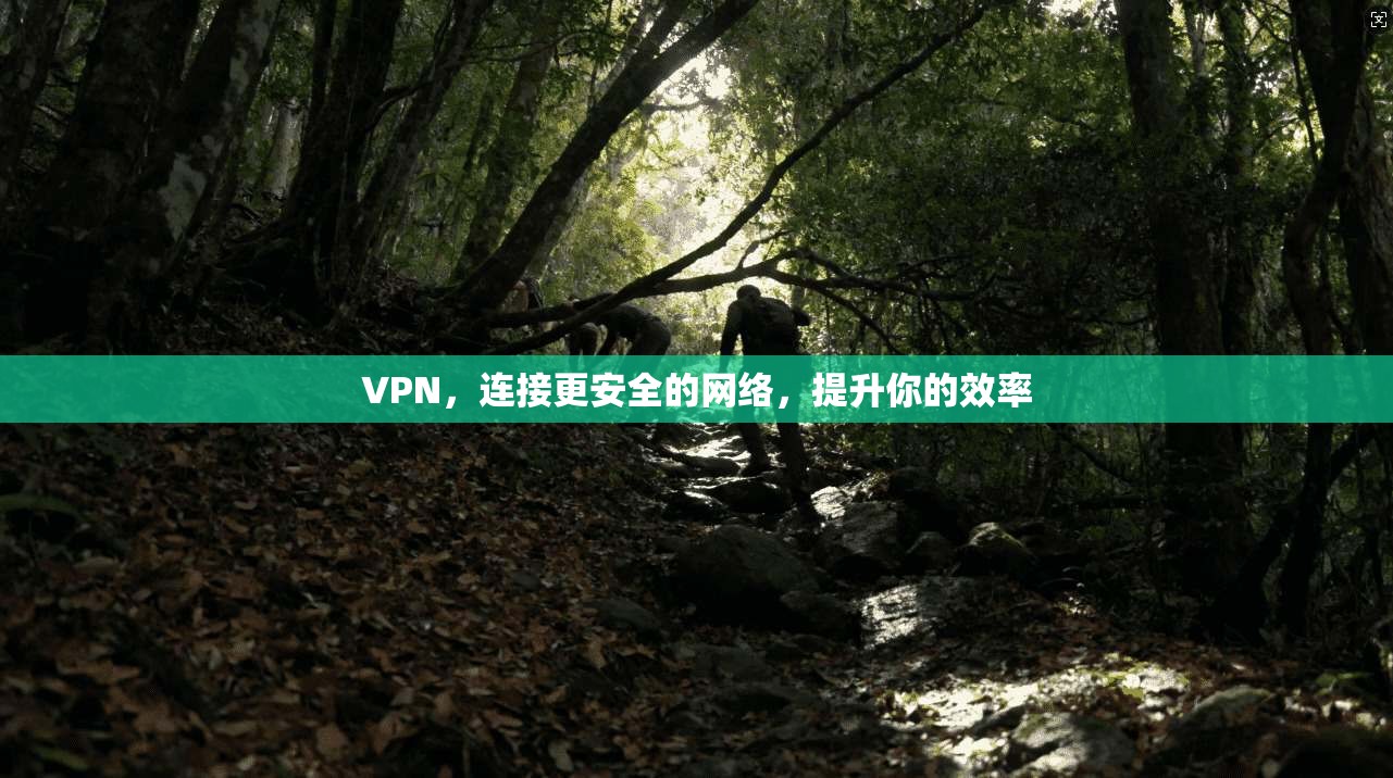 VPN，连接更安全的网络，提升你的效率