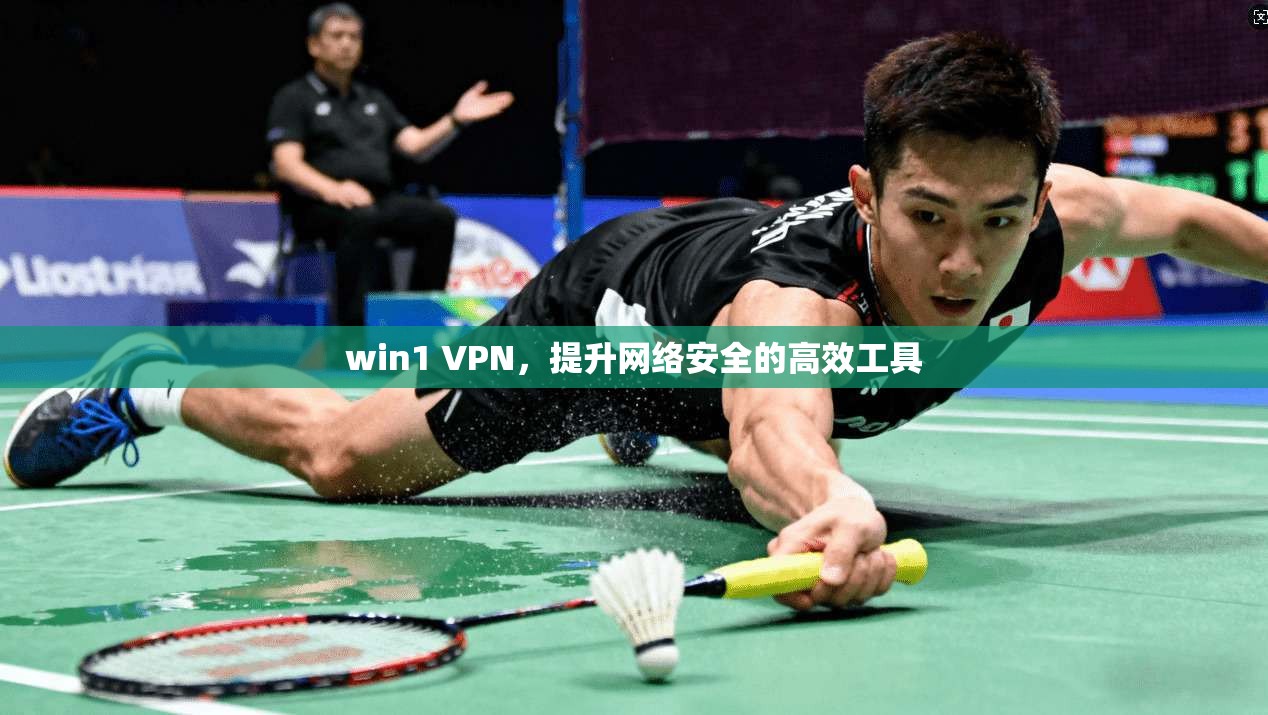 win1 VPN，提升网络安全的高效工具