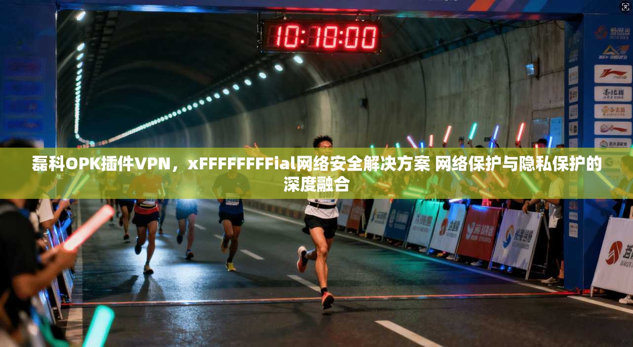 磊科OPK插件VPN，xFFFFFFFFial网络安全解决方案 网络保护与隐私保护的深度融合