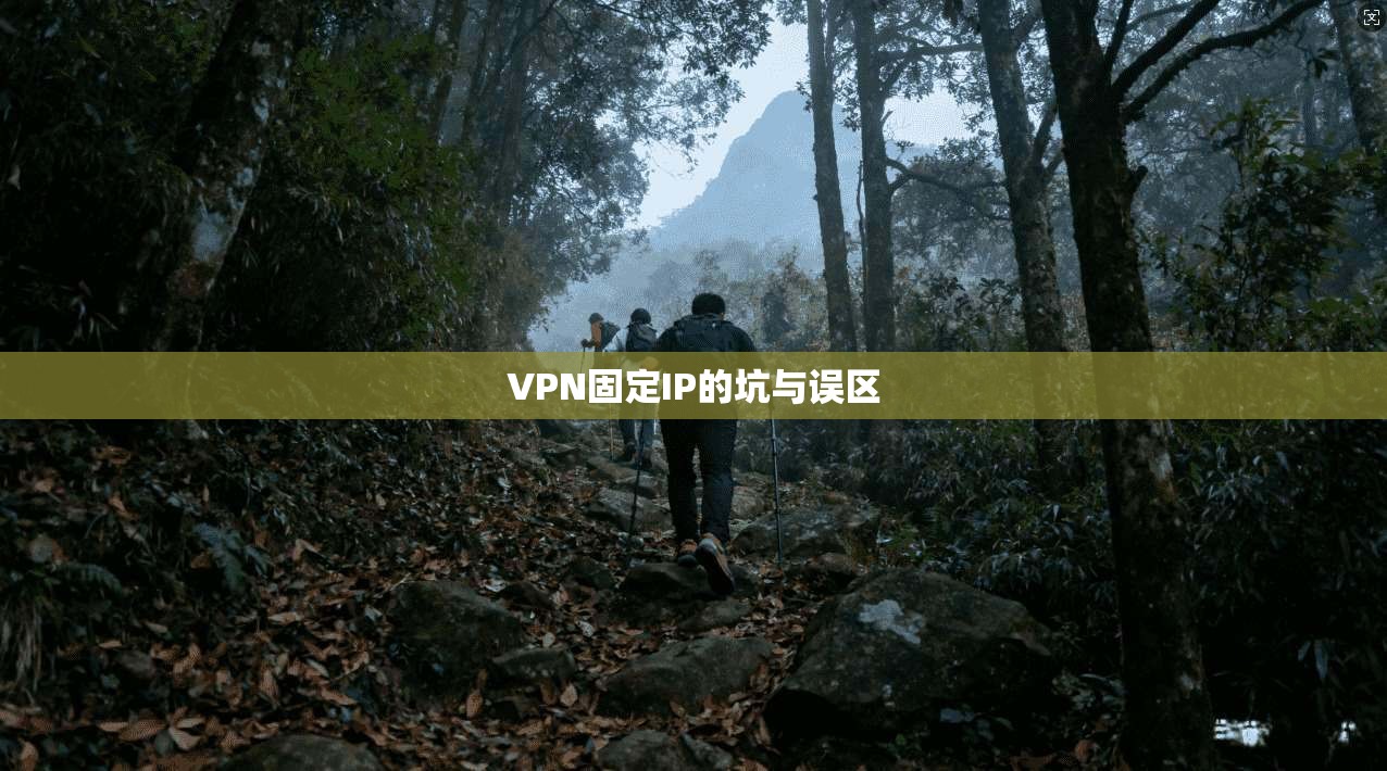 VPN固定IP的坑与误区
