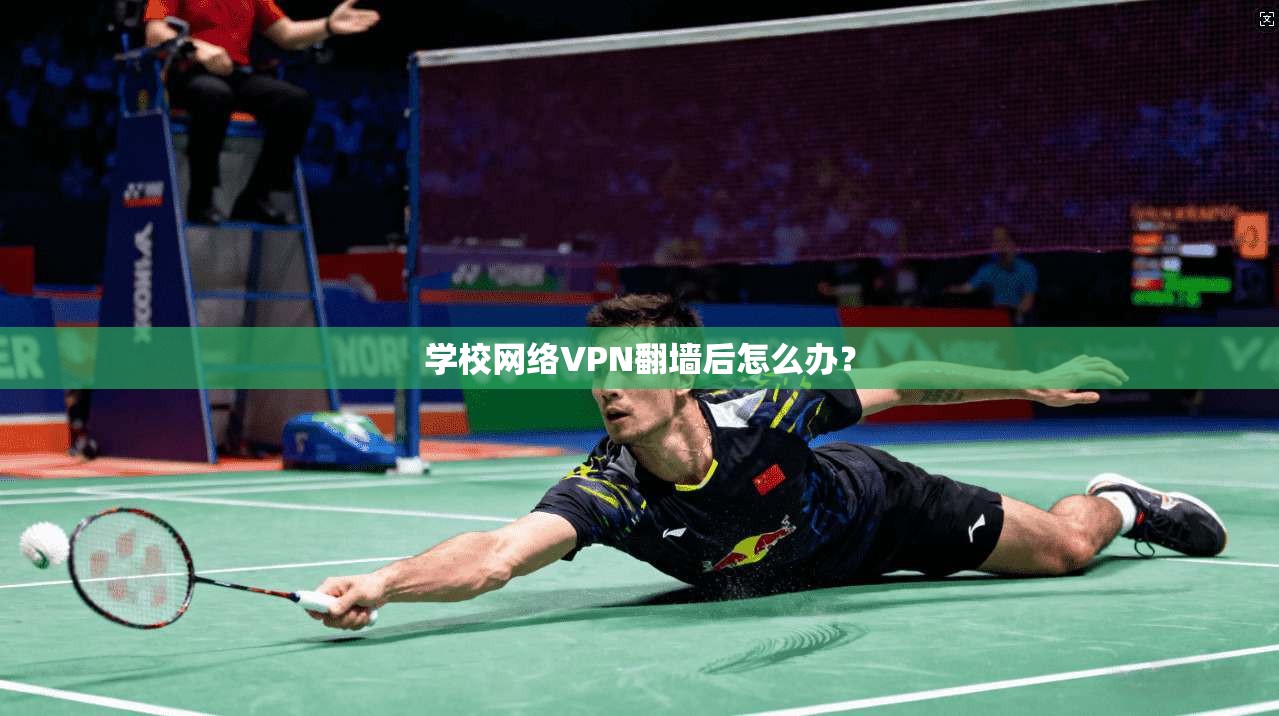 学校网络VPN翻墙后怎么办？