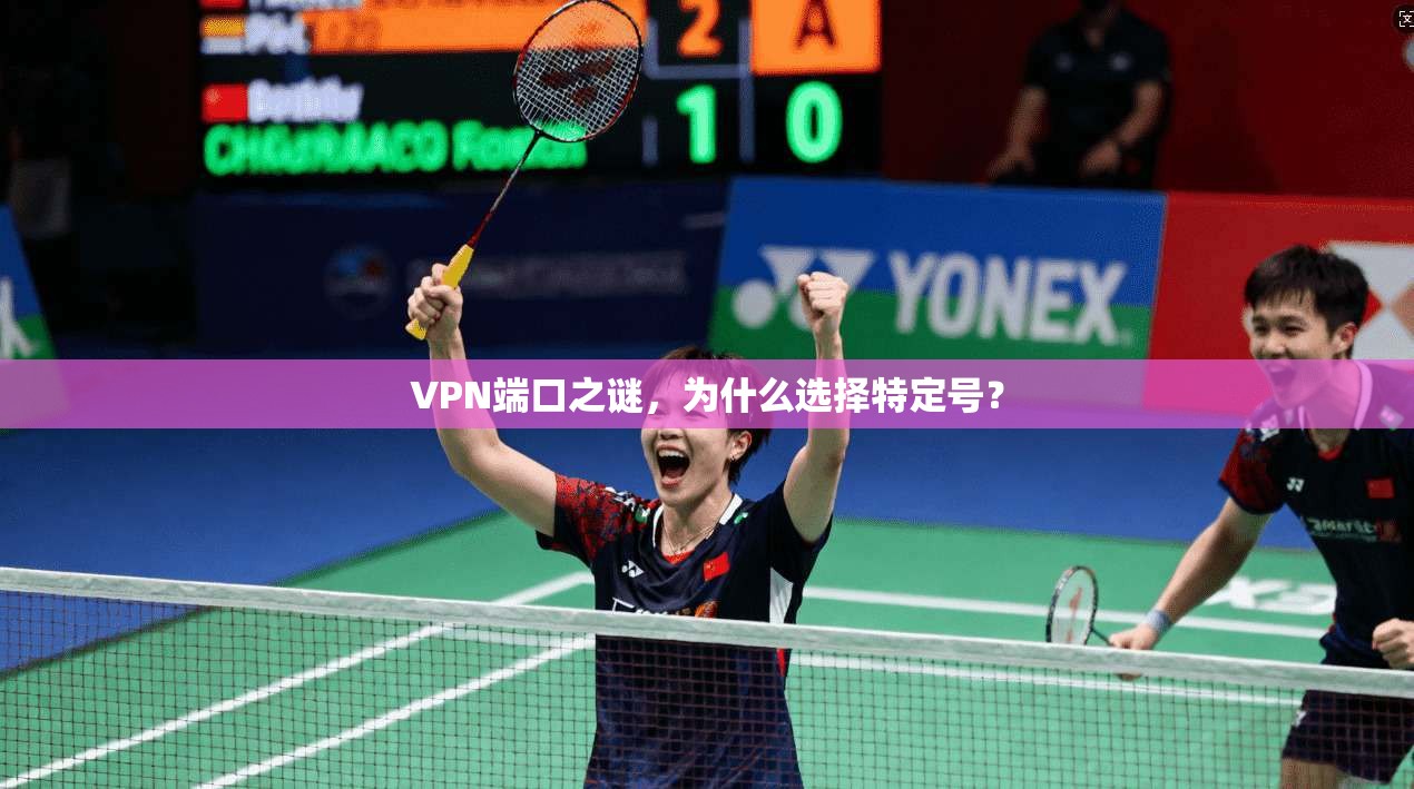 VPN端口之谜，为什么选择特定号？
