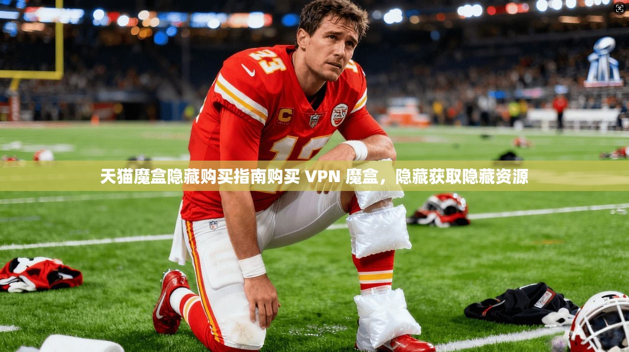 天猫魔盒隐藏购买指南购买 VPN 魔盒，隐藏获取隐藏资源