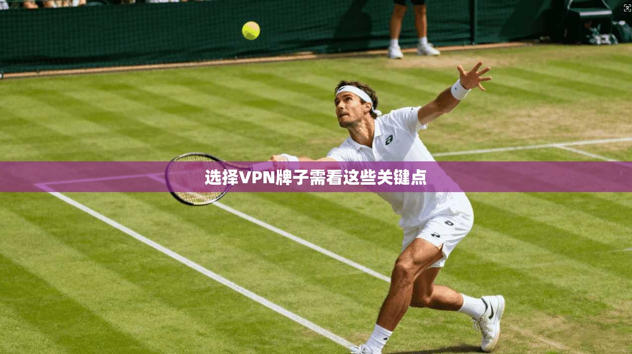 选择VPN牌子需看这些关键点