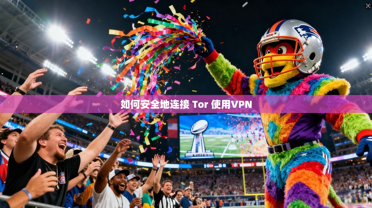 如何安全地连接 Tor 使用VPN