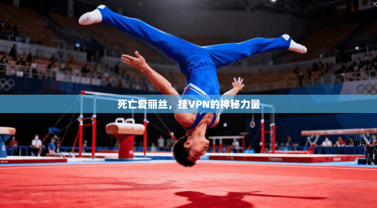 死亡爱丽丝，挂VPN的神秘力量