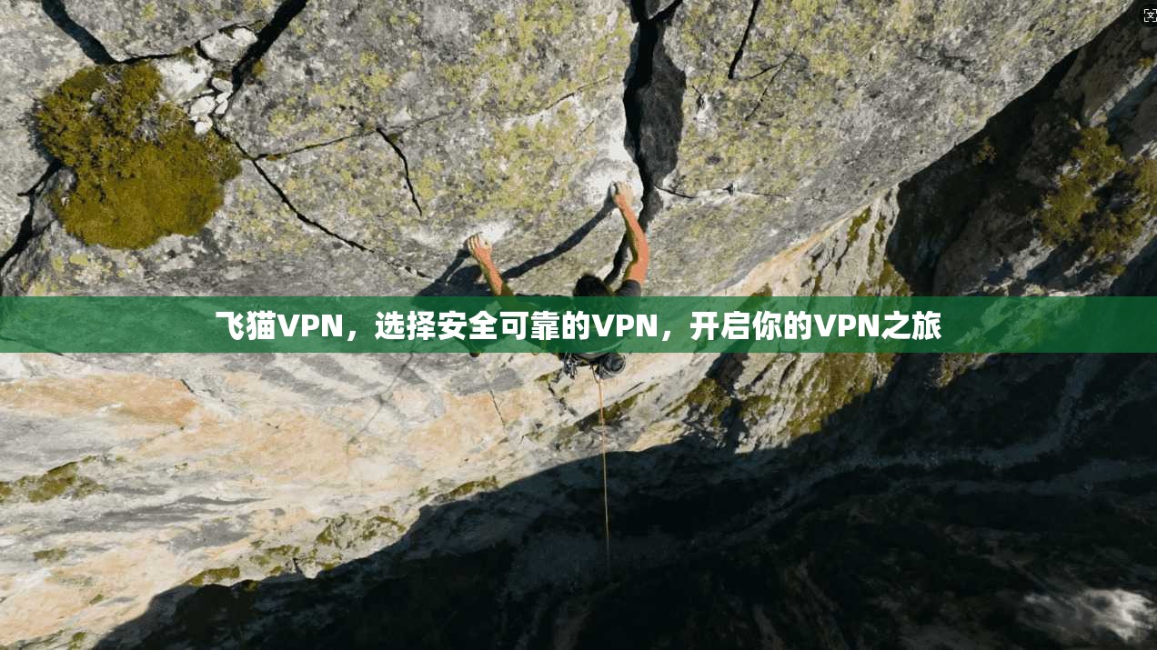 飞猫VPN，选择安全可靠的VPN，开启你的VPN之旅