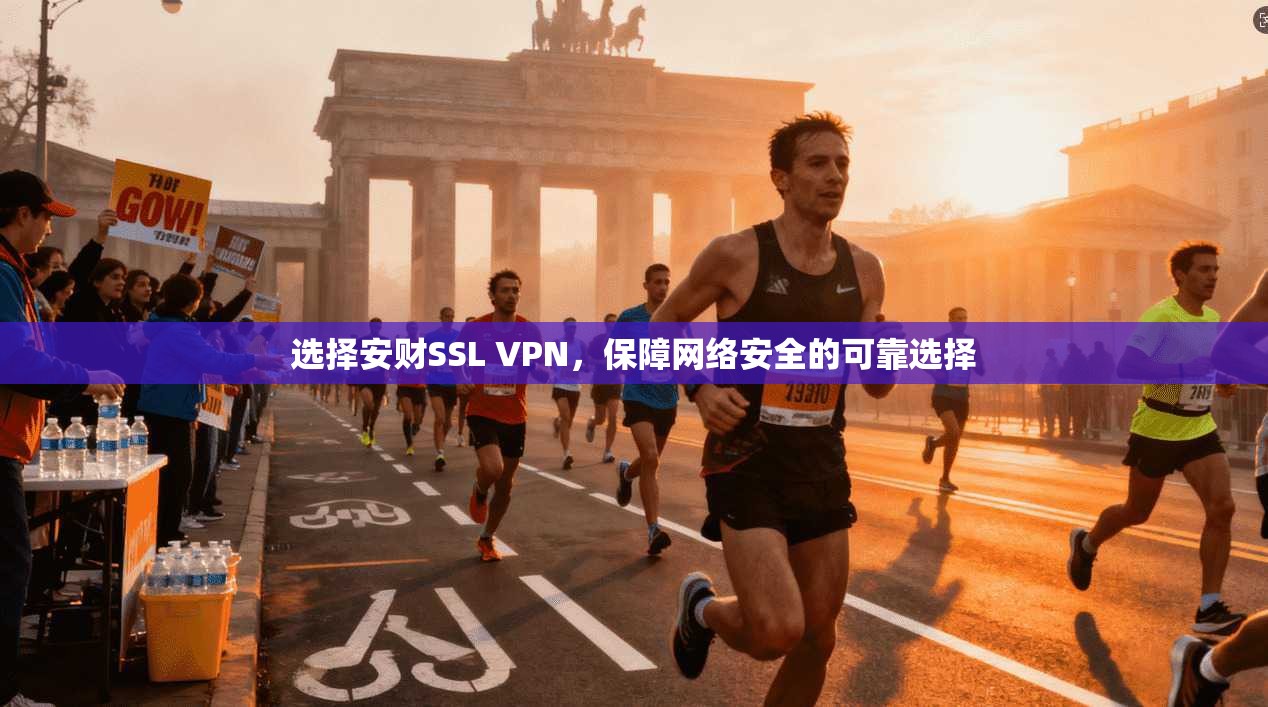 选择安财SSL VPN，保障网络安全的可靠选择