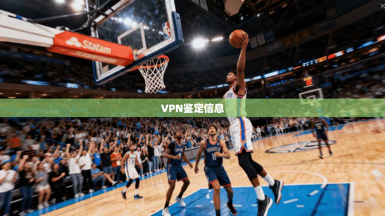 VPN鉴定信息