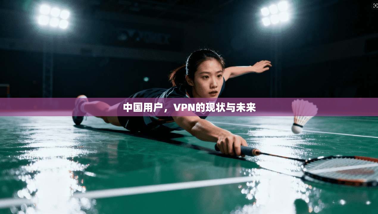 中国用户，VPN的现状与未来