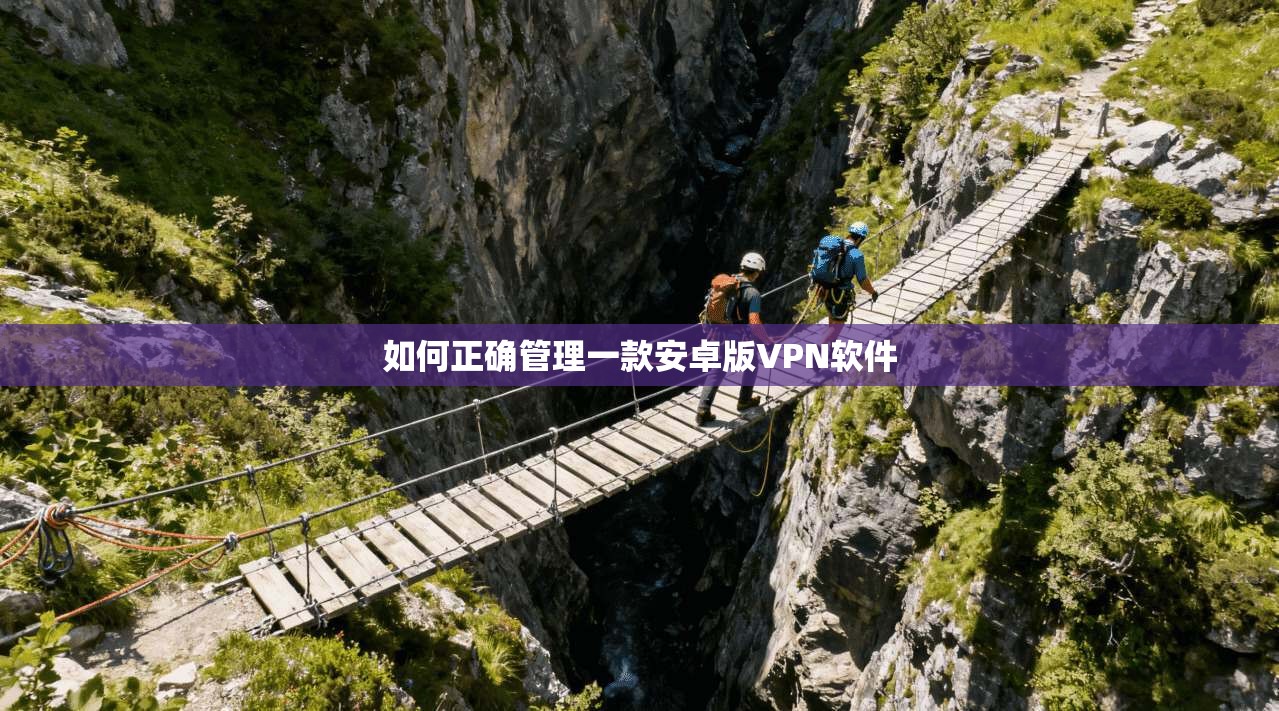 如何正确管理一款安卓版VPN软件