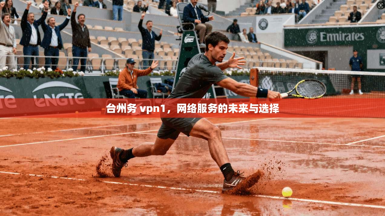 台州务 vpn1，网络服务的未来与选择