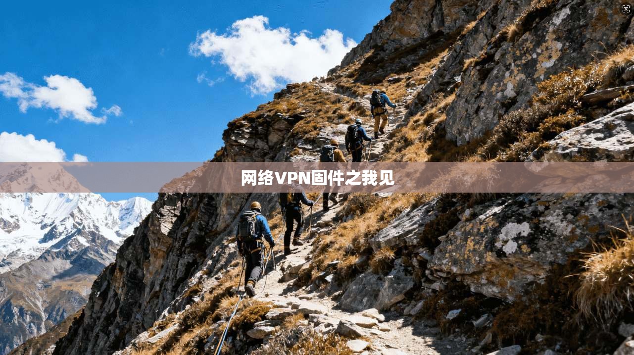 网络VPN固件之我见