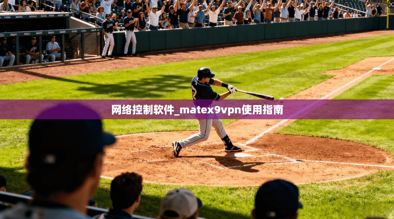 网络控制软件_matex9vpn使用指南