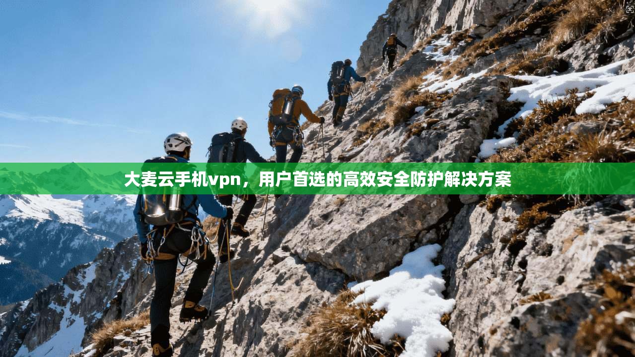 大麦云手机vpn，用户首选的高效安全防护解决方案