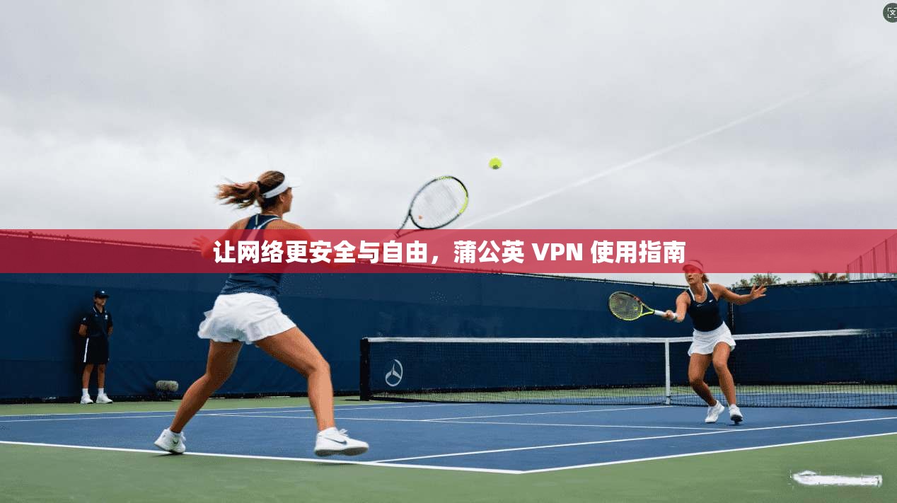 让网络更安全与自由，蒲公英 VPN 使用指南