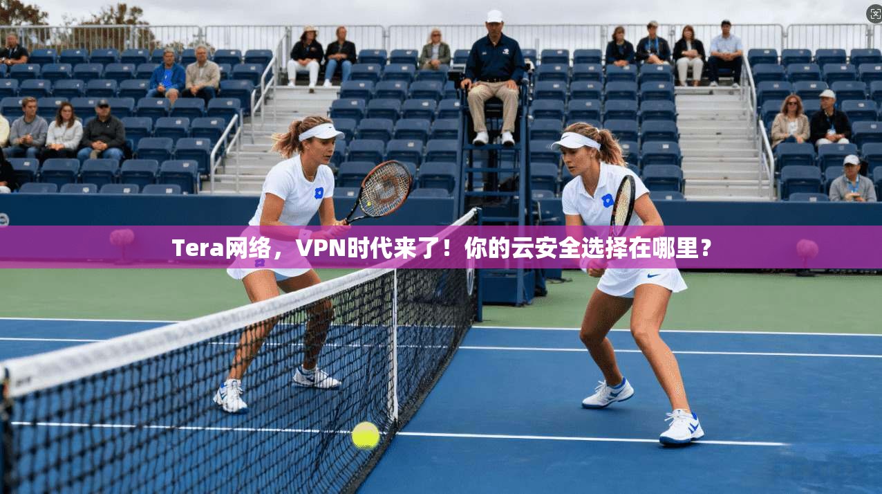 Tera网络，VPN时代来了！你的云安全选择在哪里？