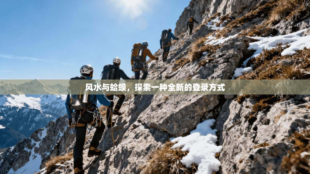 风水与蛤蟆，探索一种全新的登录方式