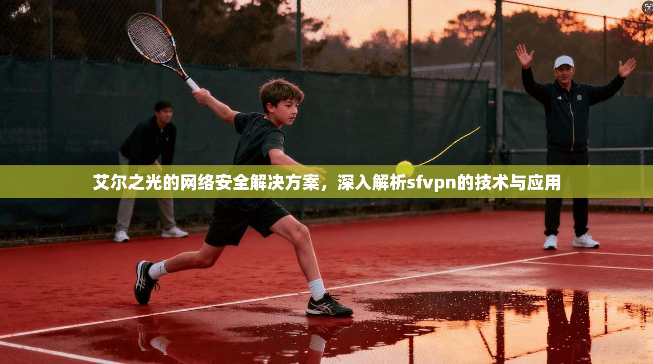 艾尔之光的网络安全解决方案，深入解析sfvpn的技术与应用