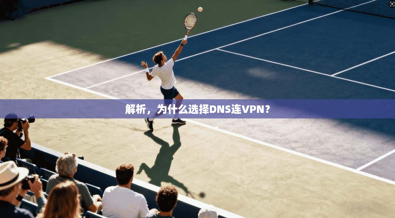解析，为什么选择DNS连VPN？