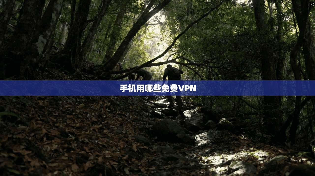 手机用哪些免费VPN