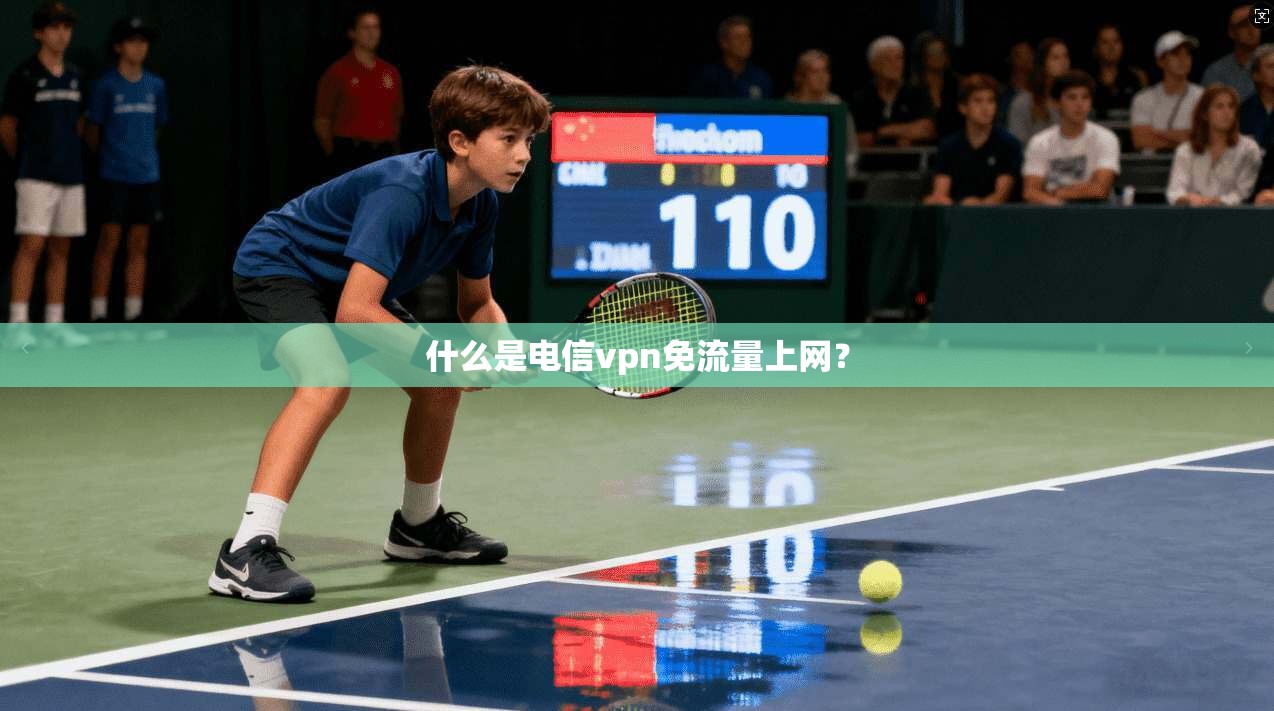 什么是电信vpn免流量上网？