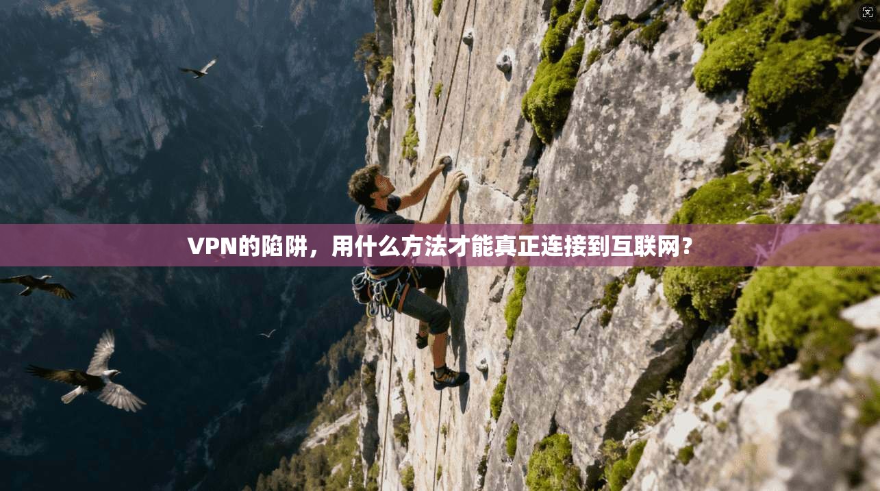 VPN的陷阱，用什么方法才能真正连接到互联网？