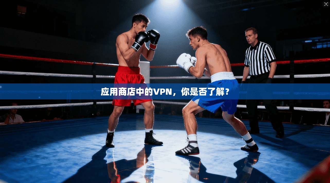 应用商店中的VPN，你是否了解？